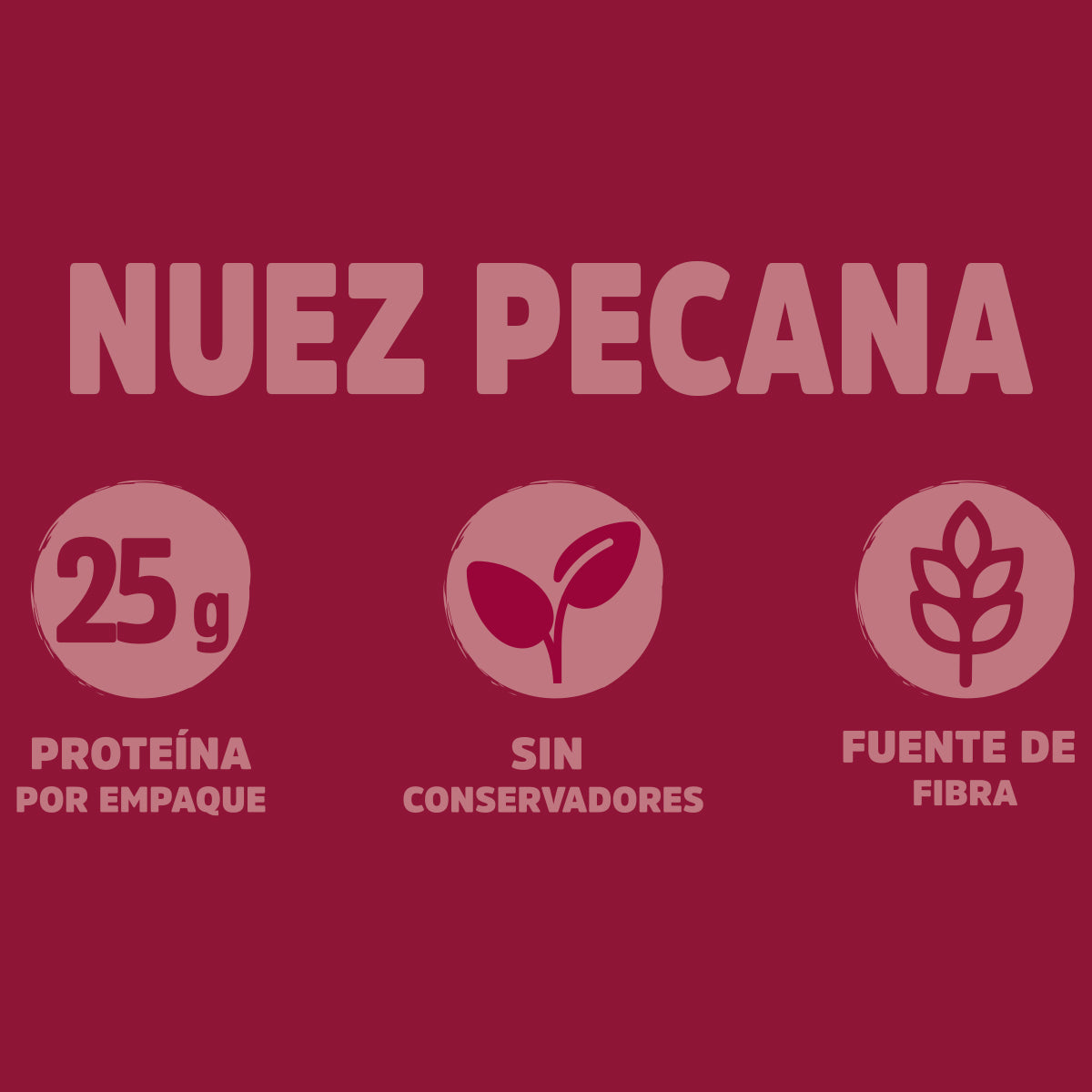 Nuez Pecana Jar (280g)
