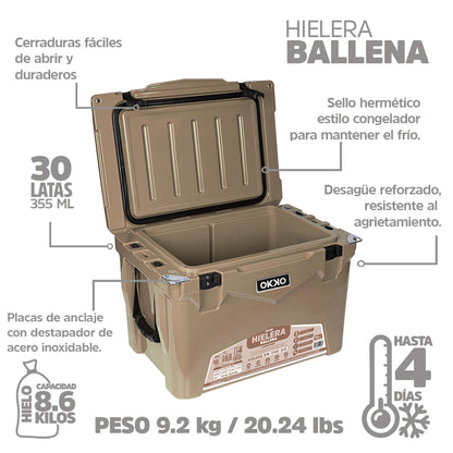 Hielera Ballena - Sandstone