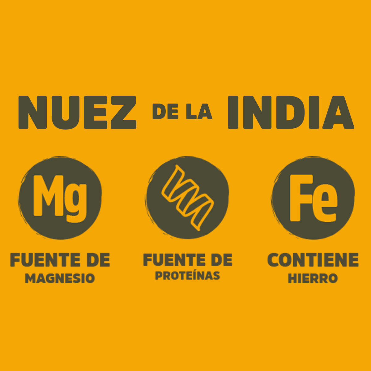 Nuez de la India Jar (360g)