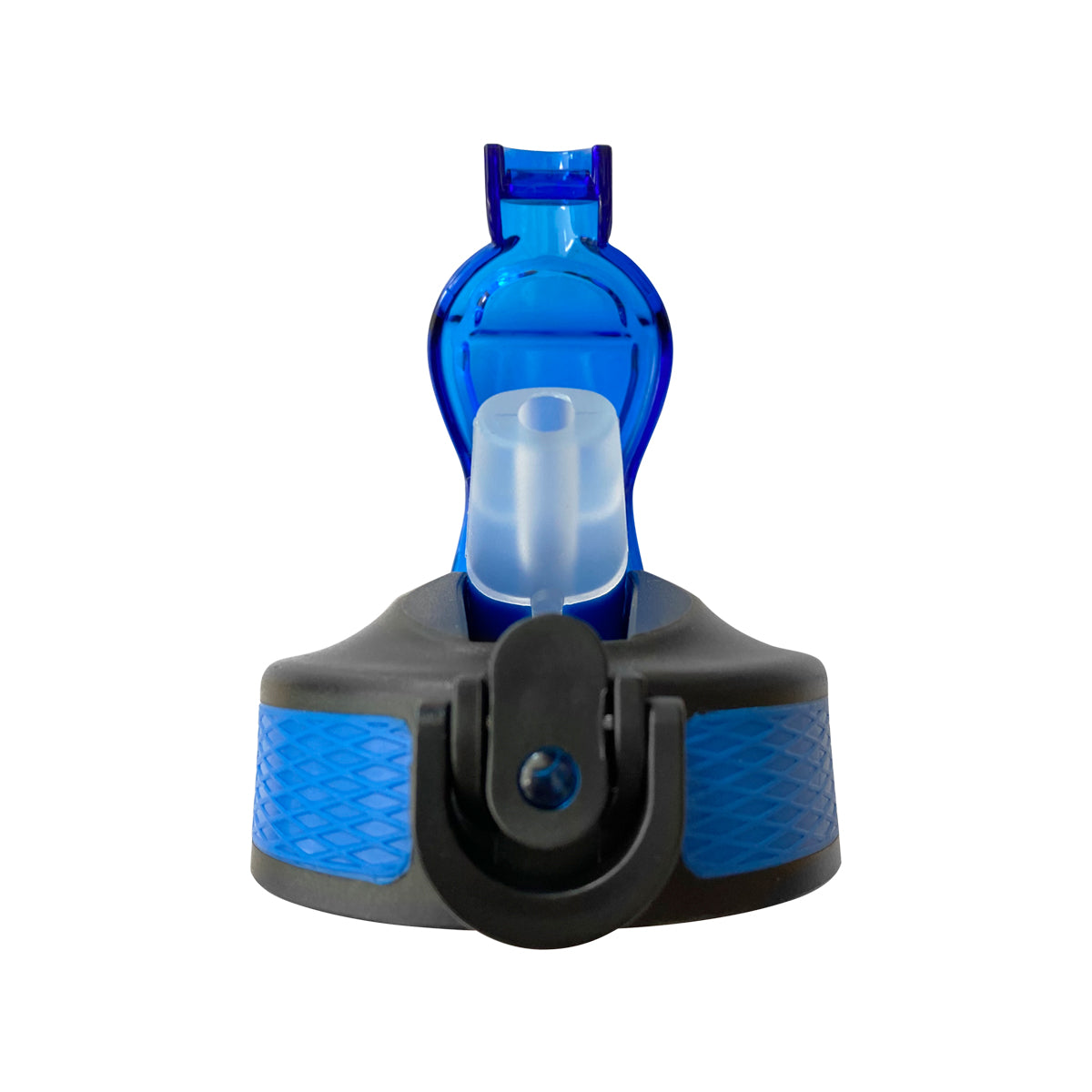 Termo Coral